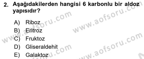 Temel Veteriner Biyokimya Dersi 2024 - 2025 Yılı (Vize) Ara Sınav Soruları 2. Soru