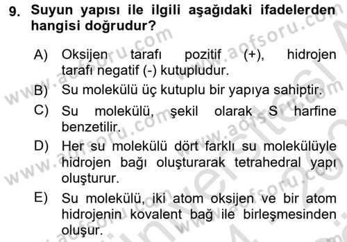 Temel Veteriner Biyokimya Dersi 2024 - 2025 Yılı (Vize) Ara Sınav Soruları 9. Soru
