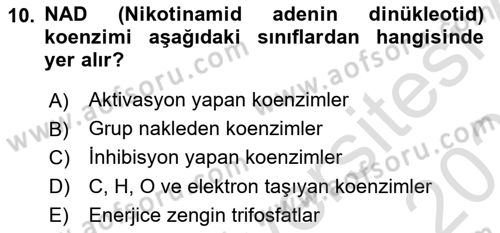 Temel Veteriner Biyokimya Dersi 2024 - 2025 Yılı (Final) Dönem Sonu Sınav Soruları 10. Soru