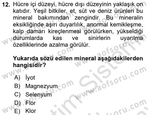 Temel Veteriner Biyokimya Dersi 2024 - 2025 Yılı (Final) Dönem Sonu Sınav Soruları 12. Soru