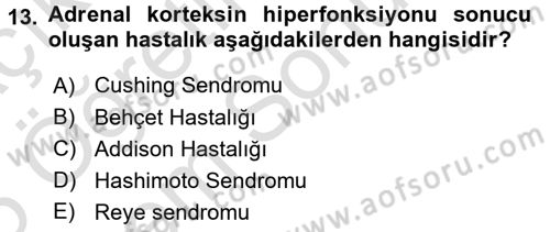Temel Veteriner Biyokimya Dersi 2024 - 2025 Yılı (Final) Dönem Sonu Sınav Soruları 13. Soru