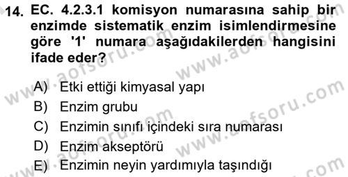 Temel Veteriner Biyokimya Dersi 2024 - 2025 Yılı (Final) Dönem Sonu Sınav Soruları 14. Soru