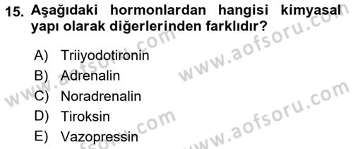 Temel Veteriner Biyokimya Dersi 2024 - 2025 Yılı (Final) Dönem Sonu Sınav Soruları 15. Soru