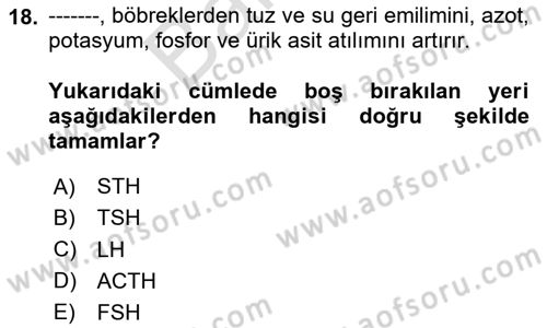 Temel Veteriner Biyokimya Dersi 2024 - 2025 Yılı (Final) Dönem Sonu Sınav Soruları 18. Soru