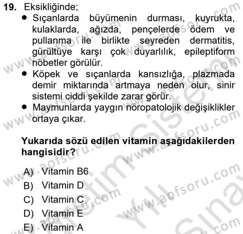 Temel Veteriner Biyokimya Dersi 2024 - 2025 Yılı (Final) Dönem Sonu Sınav Soruları 19. Soru