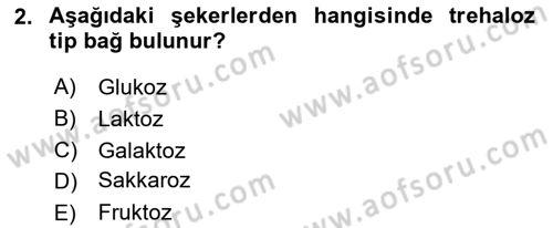 Temel Veteriner Biyokimya Dersi 2024 - 2025 Yılı (Final) Dönem Sonu Sınav Soruları 2. Soru