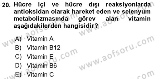 Temel Veteriner Biyokimya Dersi 2024 - 2025 Yılı (Final) Dönem Sonu Sınav Soruları 20. Soru