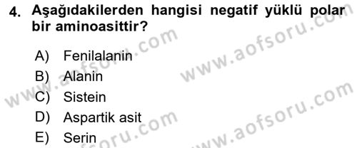 Temel Veteriner Biyokimya Dersi 2024 - 2025 Yılı (Final) Dönem Sonu Sınav Soruları 4. Soru