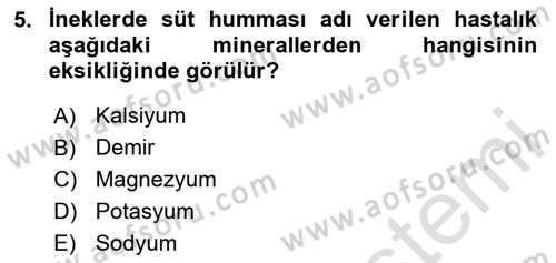 Temel Veteriner Biyokimya Dersi 2024 - 2025 Yılı (Final) Dönem Sonu Sınav Soruları 5. Soru