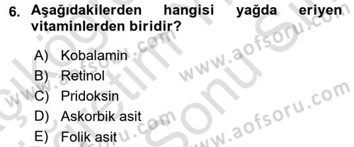 Temel Veteriner Biyokimya Dersi 2024 - 2025 Yılı (Final) Dönem Sonu Sınav Soruları 6. Soru