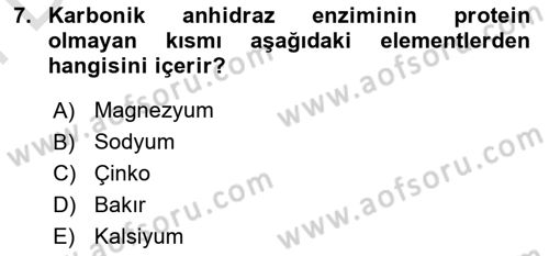 Temel Veteriner Biyokimya Dersi 2024 - 2025 Yılı (Final) Dönem Sonu Sınav Soruları 7. Soru