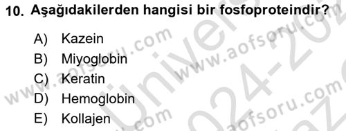 Temel Veteriner Biyokimya Dersi 2024 - 2025 Yılı Yaz Okulu Sınav Soruları 10. Soru