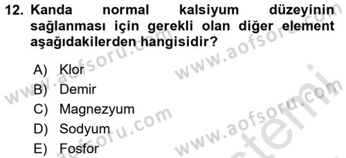 Temel Veteriner Biyokimya Dersi 2024 - 2025 Yılı Yaz Okulu Sınav Soruları 12. Soru