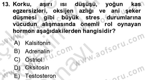 Temel Veteriner Biyokimya Dersi 2024 - 2025 Yılı Yaz Okulu Sınav Soruları 13. Soru