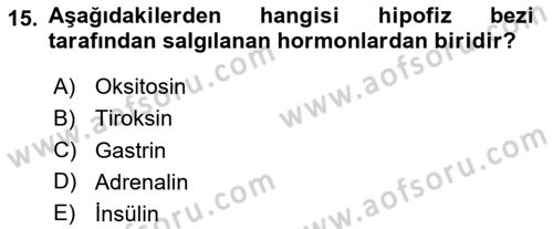 Temel Veteriner Biyokimya Dersi 2024 - 2025 Yılı Yaz Okulu Sınav Soruları 15. Soru