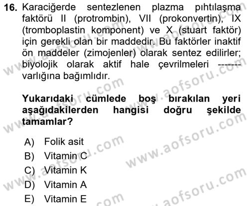 Temel Veteriner Biyokimya Dersi 2024 - 2025 Yılı Yaz Okulu Sınav Soruları 16. Soru