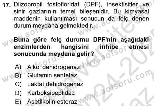 Temel Veteriner Biyokimya Dersi 2024 - 2025 Yılı Yaz Okulu Sınav Soruları 17. Soru