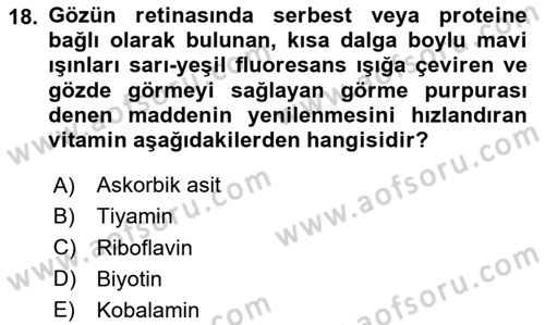 Temel Veteriner Biyokimya Dersi 2024 - 2025 Yılı Yaz Okulu Sınav Soruları 18. Soru