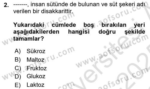 Temel Veteriner Biyokimya Dersi 2024 - 2025 Yılı Yaz Okulu Sınav Soruları 2. Soru
