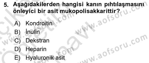 Temel Veteriner Biyokimya Dersi 2024 - 2025 Yılı Yaz Okulu Sınav Soruları 5. Soru