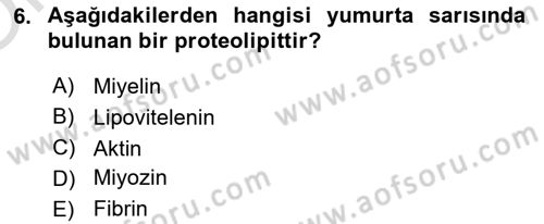 Temel Veteriner Biyokimya Dersi 2024 - 2025 Yılı Yaz Okulu Sınav Soruları 6. Soru