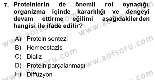Temel Veteriner Biyokimya Dersi 2024 - 2025 Yılı Yaz Okulu Sınav Soruları 7. Soru