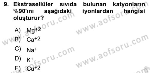 Temel Veteriner Biyokimya Dersi 2024 - 2025 Yılı Yaz Okulu Sınav Soruları 9. Soru