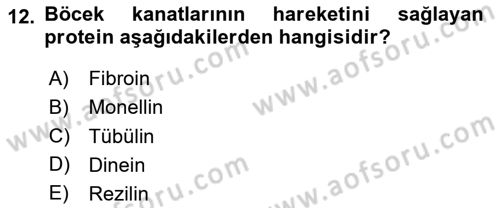 Temel Veteriner Biyokimya Dersi 2025 - 2026 Yılı (Vize) Ara Sınav Soruları 12. Soru