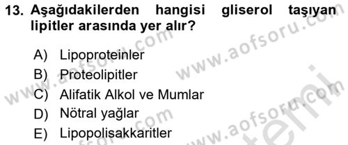 Temel Veteriner Biyokimya Dersi 2025 - 2026 Yılı (Vize) Ara Sınav Soruları 13. Soru