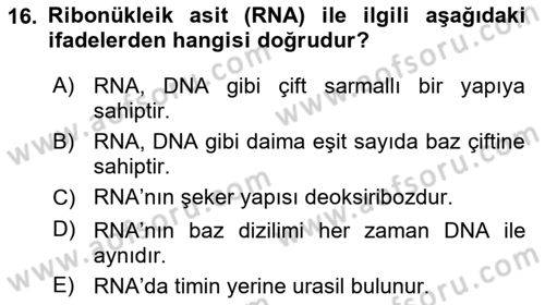 Temel Veteriner Biyokimya Dersi 2025 - 2026 Yılı (Vize) Ara Sınav Soruları 16. Soru