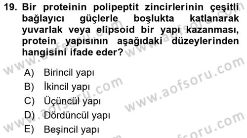 Temel Veteriner Biyokimya Dersi 2025 - 2026 Yılı (Vize) Ara Sınav Soruları 19. Soru
