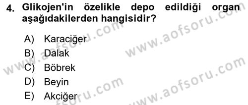 Temel Veteriner Biyokimya Dersi 2025 - 2026 Yılı (Vize) Ara Sınav Soruları 4. Soru