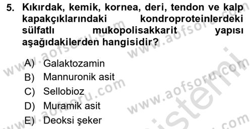 Temel Veteriner Biyokimya Dersi 2025 - 2026 Yılı (Vize) Ara Sınav Soruları 5. Soru