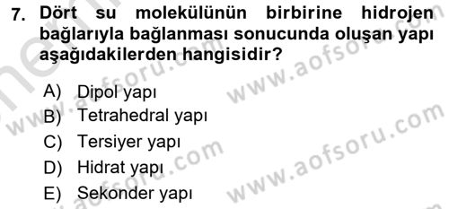 Temel Veteriner Biyokimya Dersi 2025 - 2026 Yılı (Vize) Ara Sınav Soruları 7. Soru
