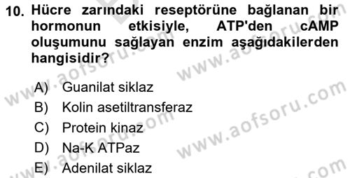 Temel Veteriner Biyokimya Dersi 2025 - 2026 Yılı (Final) Dönem Sonu Sınav Soruları 10. Soru
