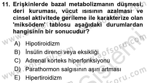 Temel Veteriner Biyokimya Dersi 2025 - 2026 Yılı (Final) Dönem Sonu Sınav Soruları 11. Soru