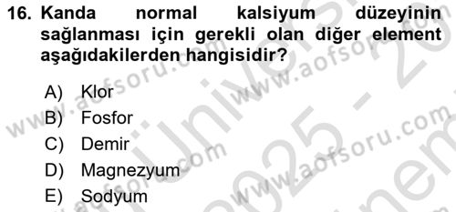 Temel Veteriner Biyokimya Dersi 2025 - 2026 Yılı (Final) Dönem Sonu Sınav Soruları 16. Soru