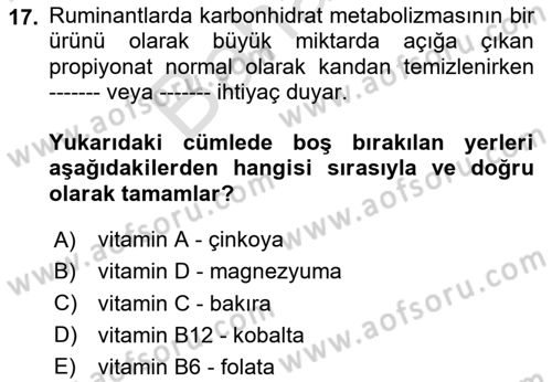 Temel Veteriner Biyokimya Dersi 2025 - 2026 Yılı (Final) Dönem Sonu Sınav Soruları 17. Soru