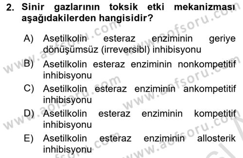 Temel Veteriner Biyokimya Dersi 2025 - 2026 Yılı (Final) Dönem Sonu Sınav Soruları 2. Soru
