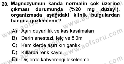Temel Veteriner Biyokimya Dersi 2025 - 2026 Yılı (Final) Dönem Sonu Sınav Soruları 20. Soru