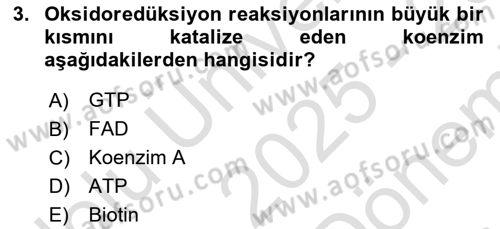 Temel Veteriner Biyokimya Dersi 2025 - 2026 Yılı (Final) Dönem Sonu Sınav Soruları 3. Soru