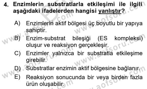 Temel Veteriner Biyokimya Dersi 2025 - 2026 Yılı (Final) Dönem Sonu Sınav Soruları 4. Soru