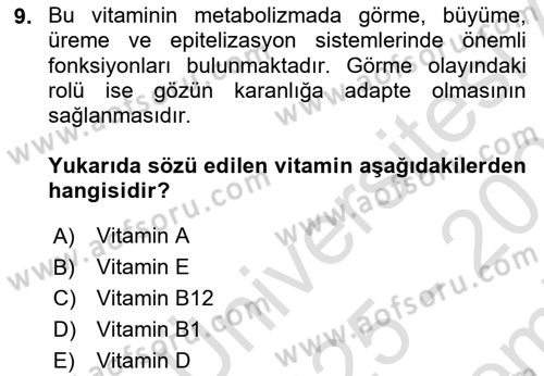 Temel Veteriner Biyokimya Dersi 2025 - 2026 Yılı (Final) Dönem Sonu Sınav Soruları 9. Soru