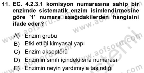 Temel Veteriner Biyokimya Dersi 2025 - 2026 Yılı Yaz Okulu Sınav Soruları 11. Soru