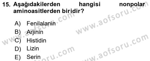 Temel Veteriner Biyokimya Dersi 2025 - 2026 Yılı Yaz Okulu Sınav Soruları 15. Soru
