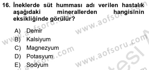 Temel Veteriner Biyokimya Dersi 2025 - 2026 Yılı Yaz Okulu Sınav Soruları 16. Soru