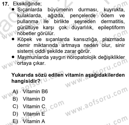 Temel Veteriner Biyokimya Dersi 2025 - 2026 Yılı Yaz Okulu Sınav Soruları 17. Soru