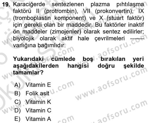 Temel Veteriner Biyokimya Dersi 2025 - 2026 Yılı Yaz Okulu Sınav Soruları 19. Soru