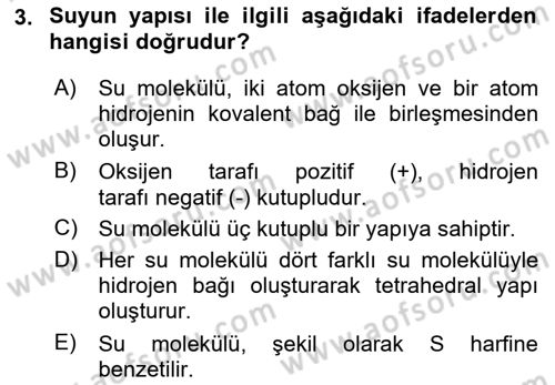 Temel Veteriner Biyokimya Dersi 2025 - 2026 Yılı Yaz Okulu Sınav Soruları 3. Soru