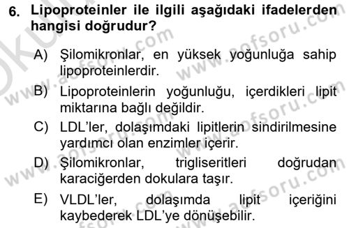 Temel Veteriner Biyokimya Dersi 2025 - 2026 Yılı Yaz Okulu Sınav Soruları 6. Soru